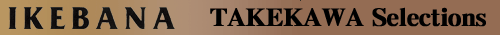 �p�C�v�A�^�o�R�A�V�K�[